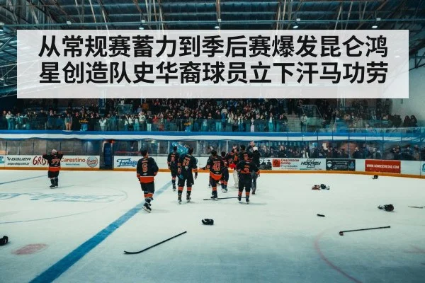 ice hockey arena crowd