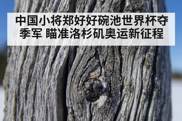 中国小将郑好好碗池世界杯夺季军 瞄准洛杉矶奥运新征程